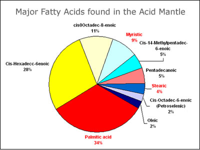 Основные жирные кислоты, входящие в кислотную мантию