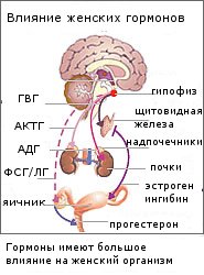 Влияние женских гормонов на кожу